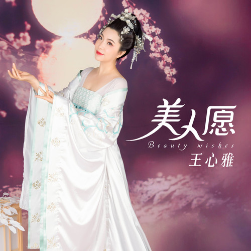 美人愿 (DJ大金版)