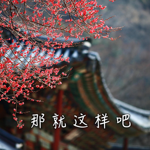 那就这样吧 (空灵DJ版)