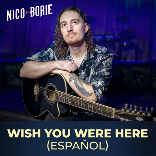 Wish You Were Here (Español)