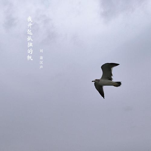 我升起孤独的帆