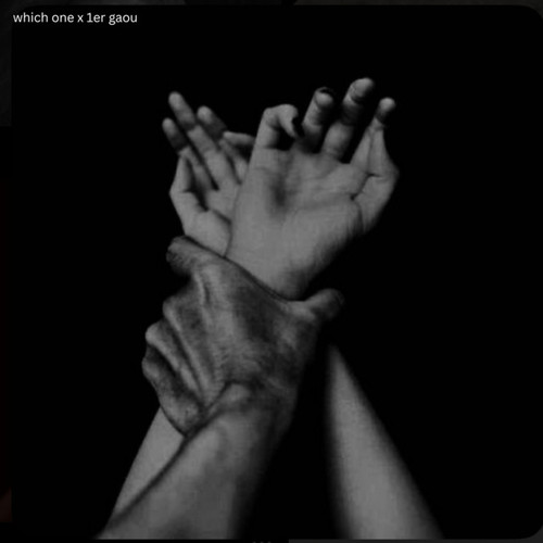 which one x 1er gaou (Ark28 Remix)