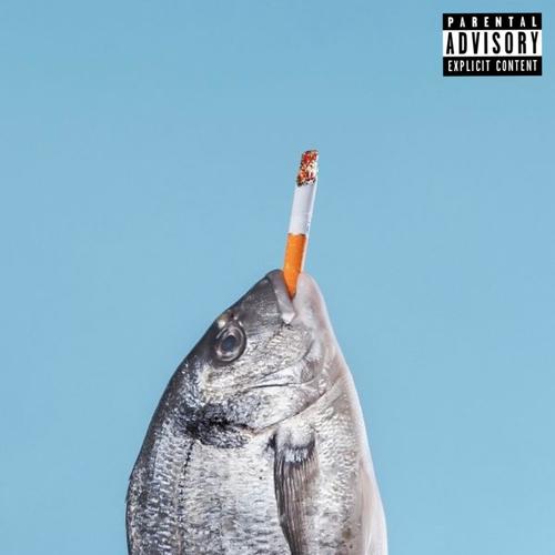FISH (Explicit)