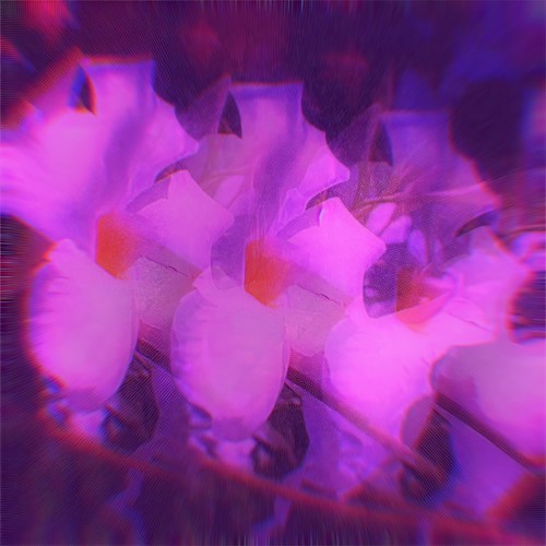 The Heart Wants What It Wants