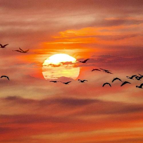 Happy type beat hip hop instrumental | '2020'