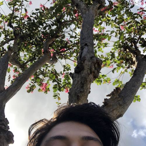 CIGARETTES (Explicit)