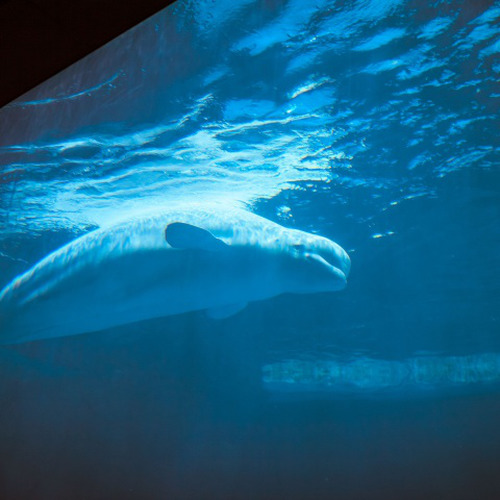 给自己的睡眠与冥想音乐