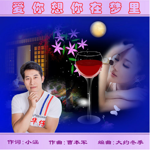 爱你想你在梦里