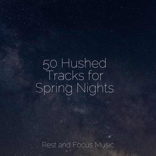 50 Hushed Tracks for Spring Nights