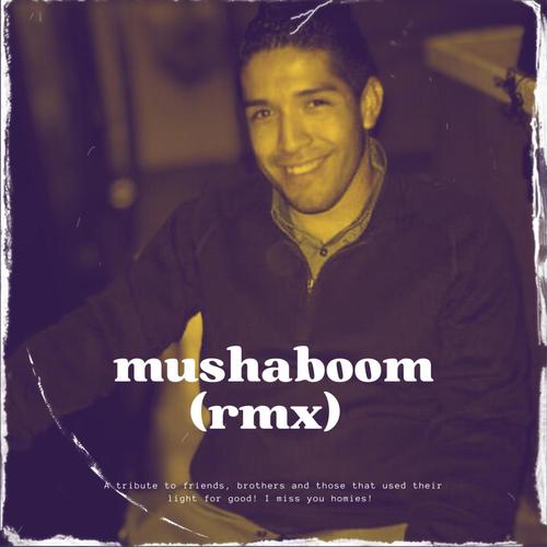 Mushaboom (remix)