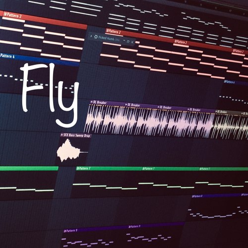 Fly
