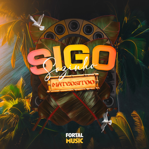 Sigo Sozinho (Remix)