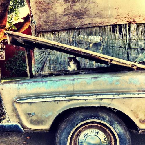 Fight Club (2025 Redux)