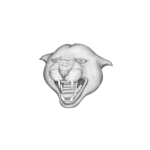 Wildcats (feat. Roseau)