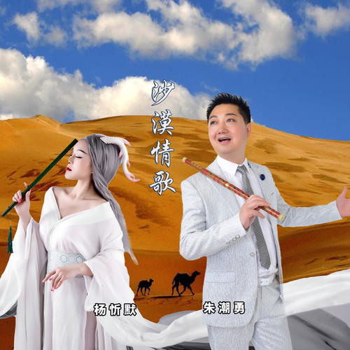 沙漠情歌