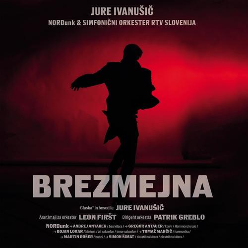 Brezmejna