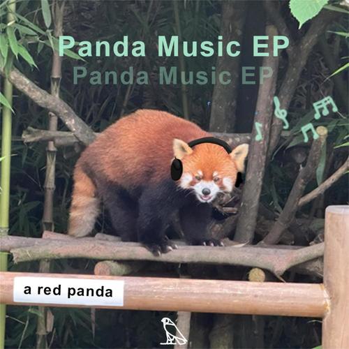 panda music