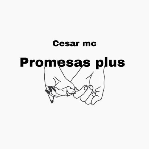promesas plus