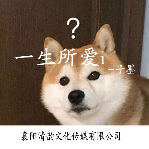 一生所爱