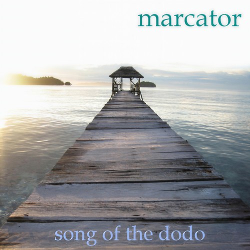 Song Of The Dodo