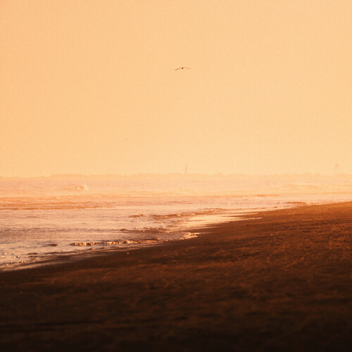 You Get What You Give