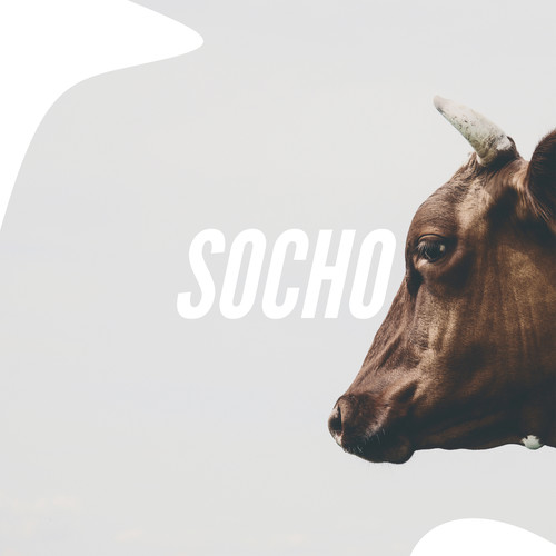 Socho