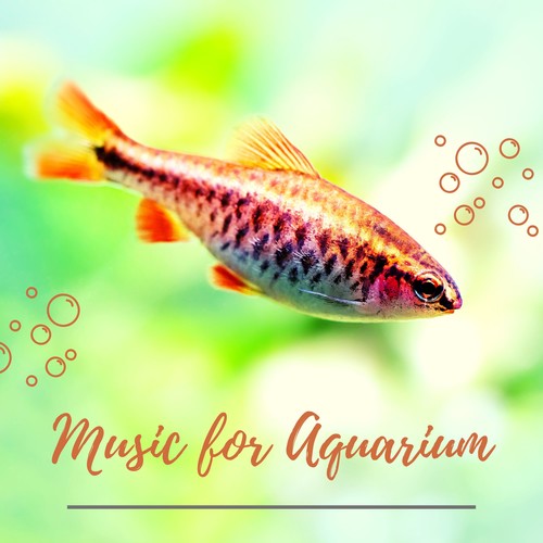 Music for Aquarium - Relaxing Music for Fish