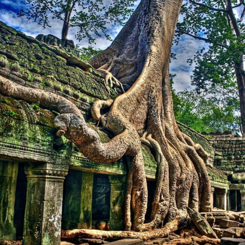 Fidelity (Radio Edit)