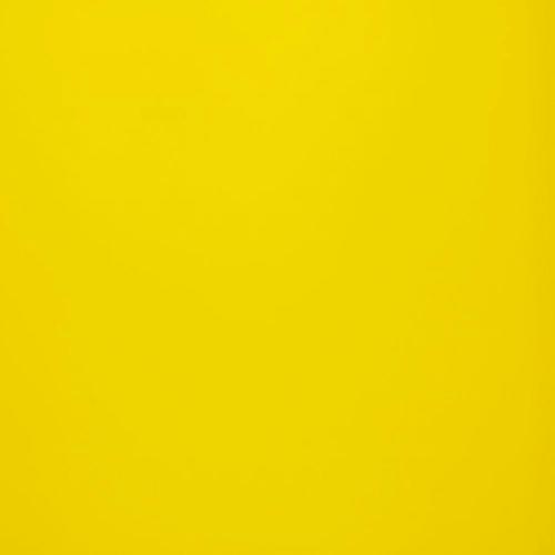 FLEXXXED UP (FREESTYLE)