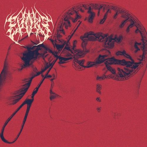 Red Dot Lobotomy