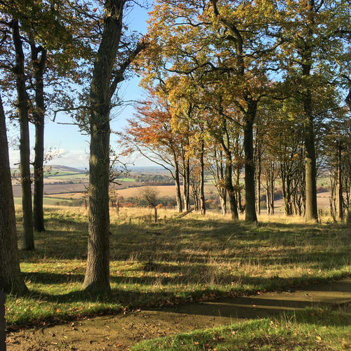 Is Anyone Home (Acoustic Version)