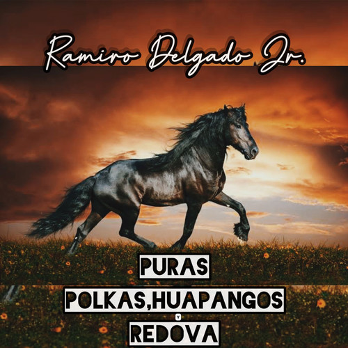 Puras Polkas, Huapangos Y Redova