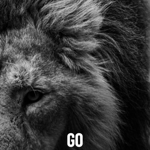 Go (feat. Gator & Jim Calhoun)