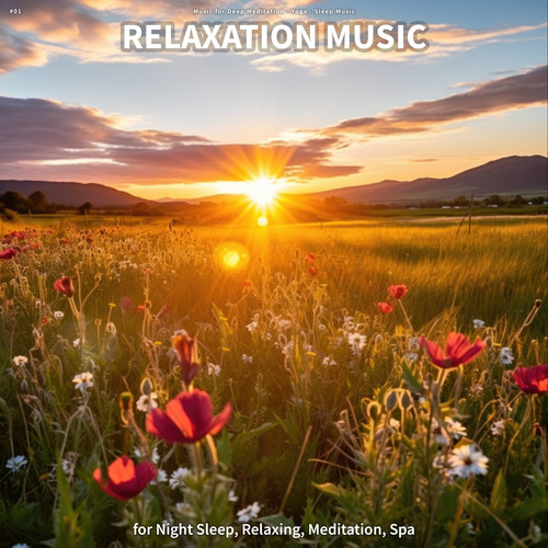 #01 Relaxation Music for Night Sleep, Relaxing, Meditation, Spa