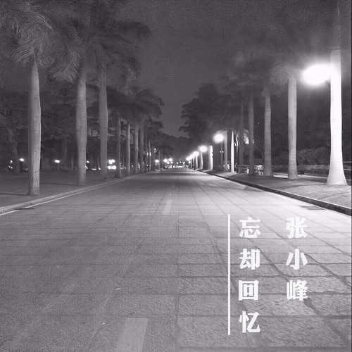 忘却回忆