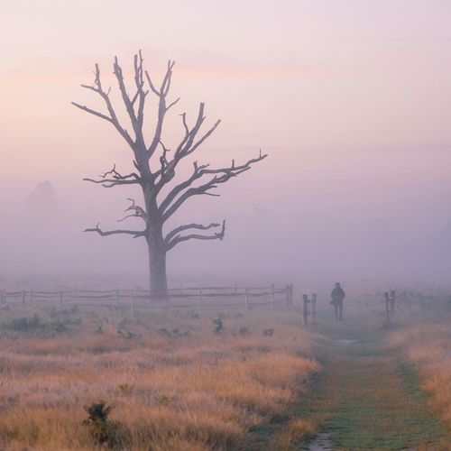 Infinite Gratitude (2024)