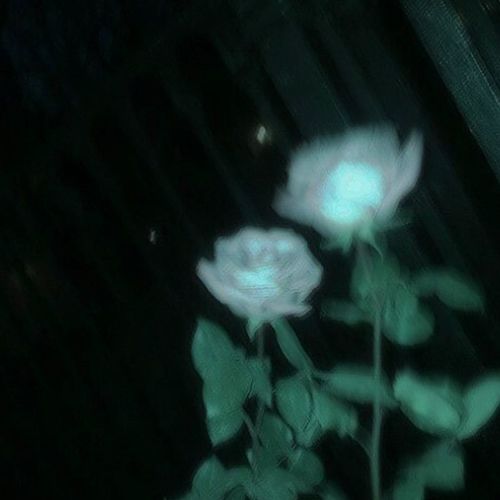 Reich Oder Arm (Explicit)