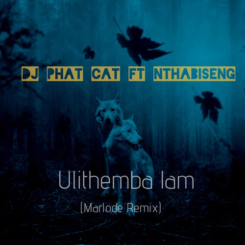 Ulithemba Lam (Marlode Remix)