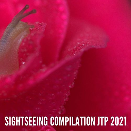SIGHTSEEING COMPILATION JTP 2021