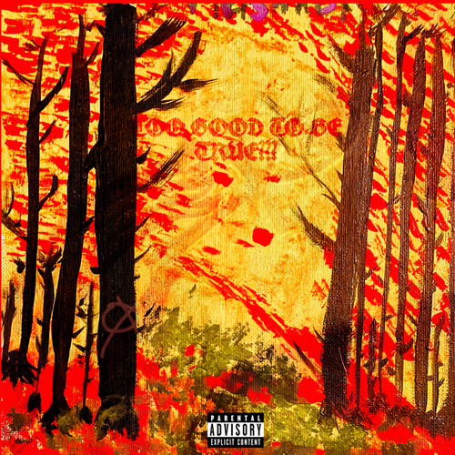 Too Good to Be True??? (Explicit)