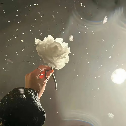 宇宙尽头的碎片