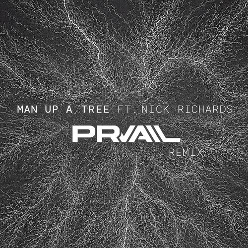 Lightning (feat. Nick Richards) [Prvail Remix]