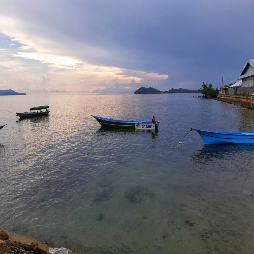 A Flower for Paradise