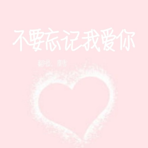 不要忘记我爱你