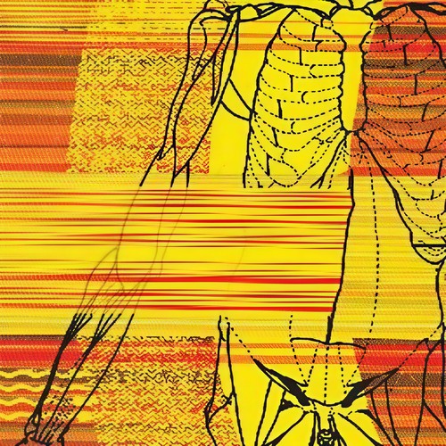 Record Of Infinite Shadows