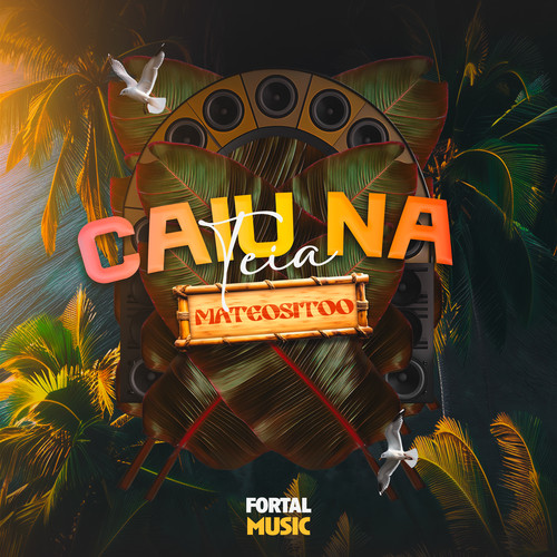 Caiu na Teia (Remix)