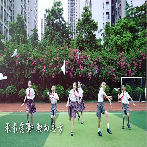 深圳市坪山实验学校校歌