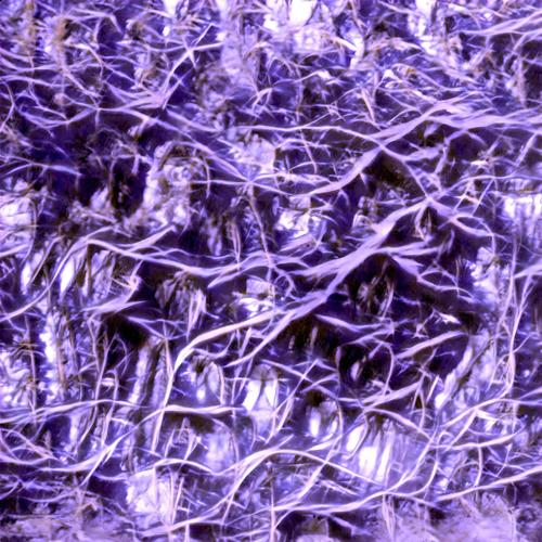 Nuit des Musiques Experimentales #5 (Reunion Island) (Live record)