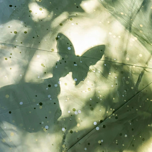 小船