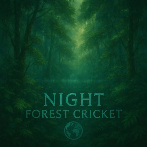 Night Forest Cricket