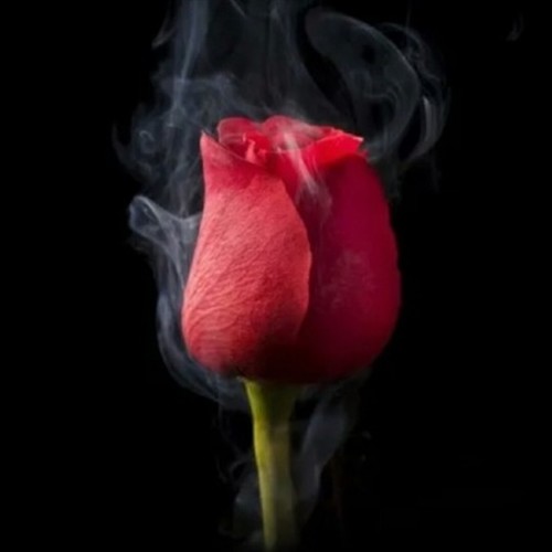 Hole In My Soul Part Two (Prod. Kado)